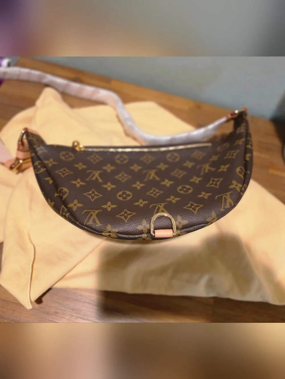 Louis Vuitton Bumbag - Picture 8 of 13